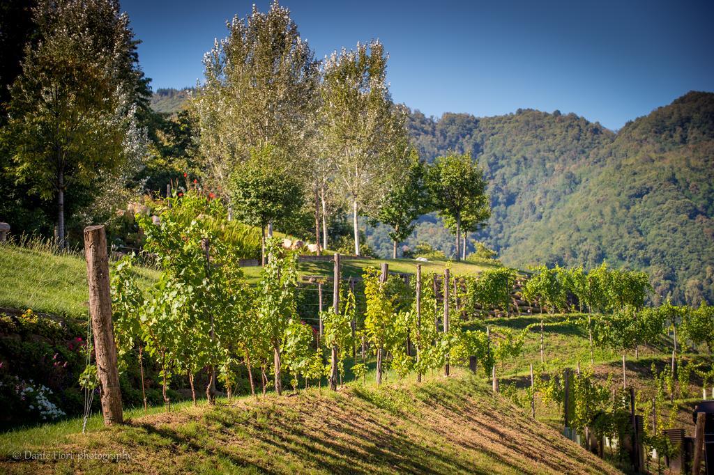 Podere La Torre Villa Schio Esterno foto